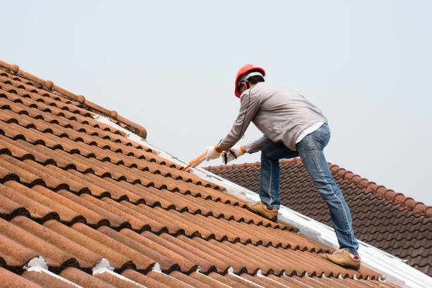 Best Cold Roofs  in Cave Creek, AZ