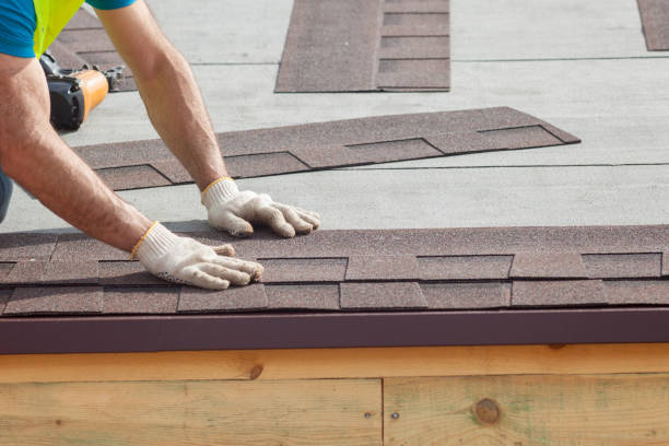Best Skylight Installation and Repair  in Cave Creek, AZ